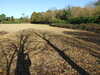 DSCF1645.JPG