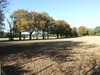 DSCF1646.JPG