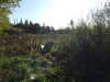 DSCF1647.JPG
