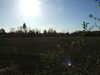 DSCF1648.JPG