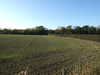 DSCF1649.JPG