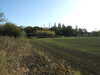 DSCF1650.JPG