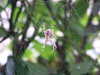 DSCF1623.JPG