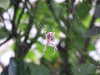 DSCF1625.JPG