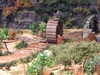 DSCF1626.JPG