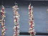 20071201154232-DSCF1659.JPG