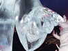 DSCF1670.JPG