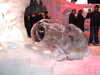 DSCF1674.JPG