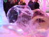 DSCF1676.JPG