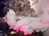 DSCF1680.JPG