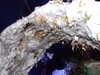 DSCF1683.JPG