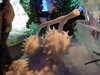 DSCF1685.JPG