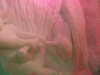 DSCF1697.JPG