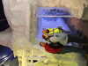 DSCF1703.JPG