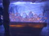 DSCF1704.JPG