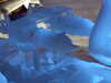 DSCF1711.JPG