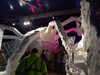 DSCF1712.JPG