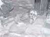 DSCF1723.JPG