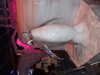 DSCF1730.JPG