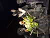 DSCF1732.JPG
