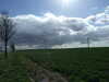 20080321152042-DSCF1749.JPG