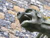 20080321180554-DSCF1759.JPG