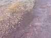 20080323072959-IMAG0016.jpg