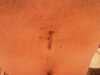 20080409215624-IMAG0025.jpg