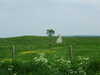 20080524134351-DSCF1771.JPG