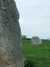 20080524134816-DSCF1775.JPG