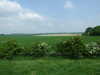 20080524135633-DSCF1778.JPG