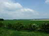 20080524135657-DSCF1780.JPG