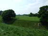 20080524140314-DSCF1781.JPG
