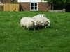 20080524142220-DSCF1784.JPG