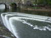 20080524182804-DSCF1809.JPG