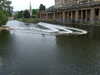 20080524185024-DSCF1815.JPG