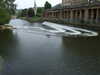 20080524185035-DSCF1817.JPG