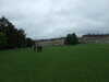 20080525134524-DSCF1829.JPG