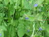 20080525140701-DSCF1841.JPG