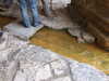 20080525173213-DSCF1867.JPG
