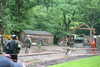 20080526154904-IMG_3820.JPG