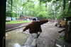 20080526165157-IMG_3869.JPG