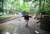 20080526165158-IMG_3870.JPG