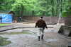 20080526165200-IMG_3872.JPG