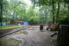 20080526171307-IMG_3910.JPG