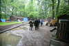 20080526172805-IMG_3919.JPG
