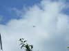 20080614142310-DSCF1913.JPG