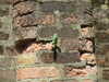 20080614142350-DSCF1915.JPG