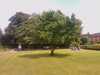 20080614144438-IMAG0038.jpg