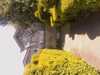 20080614144526-IMAG0039.jpg